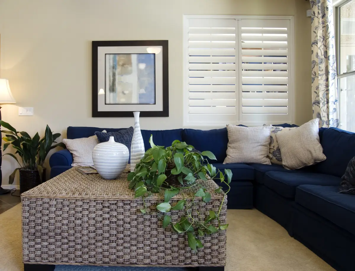 Staying Ahead in New Brunswick’s Rental Market: Proven Steps for Higher Occupancy